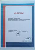 Диплом участника онлайн-квеста "Сетевичок-2014" Диплом участника онлайн-квеста "Сетевичок-2014"